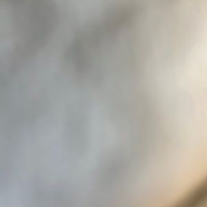 Brown outfit (shoes or purse not included)